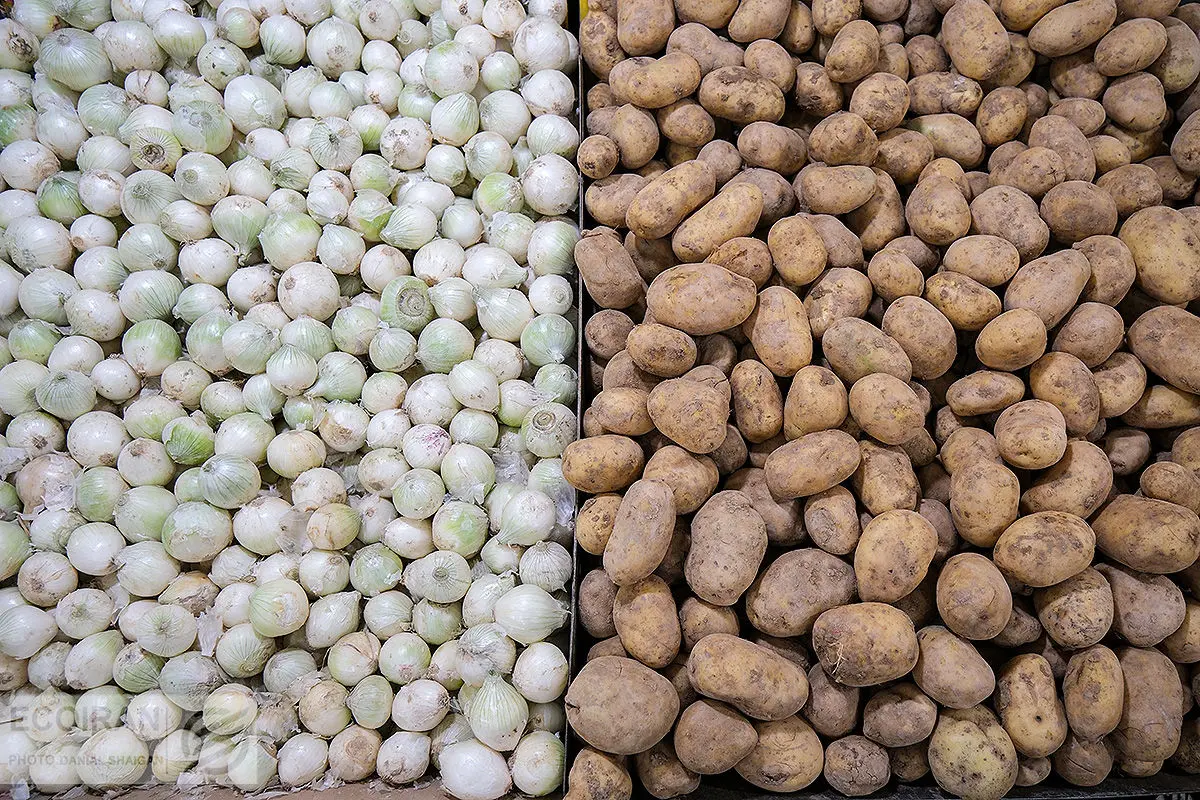 قیمت سیب زمینی و پیاز 1405 اعلام شد