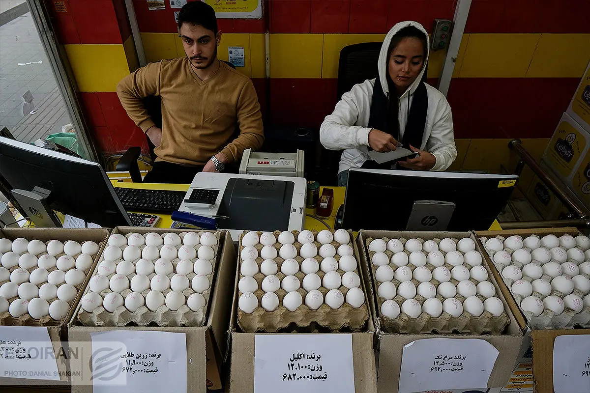 قیمت هر شانه تخم مرغ چقدر بود؟