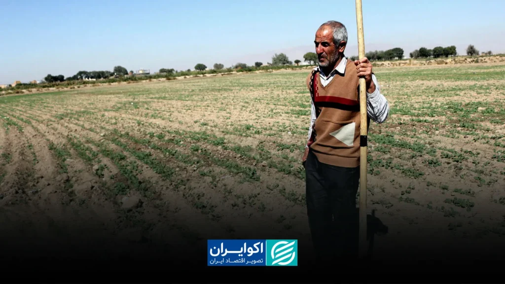 کشاورزی در دام سرمایه و روشهای سنتی