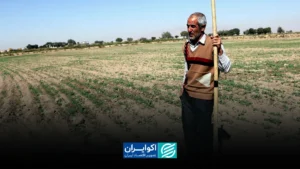 کشاورزی در دام سرمایه و روشهای سنتی