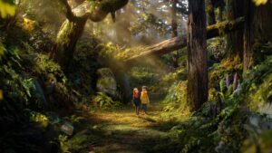 انیمیشن Wildwood