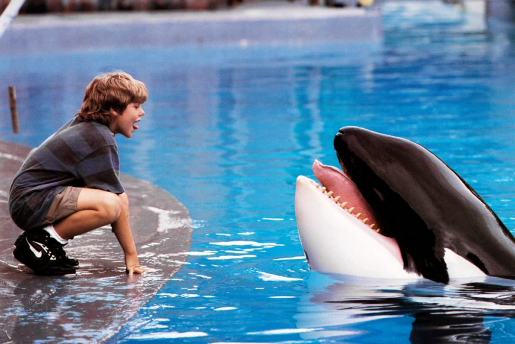 Boy Crouched at the Pool Edge Faces a Large Orca with Mouth Wide Open As It Nears the Water