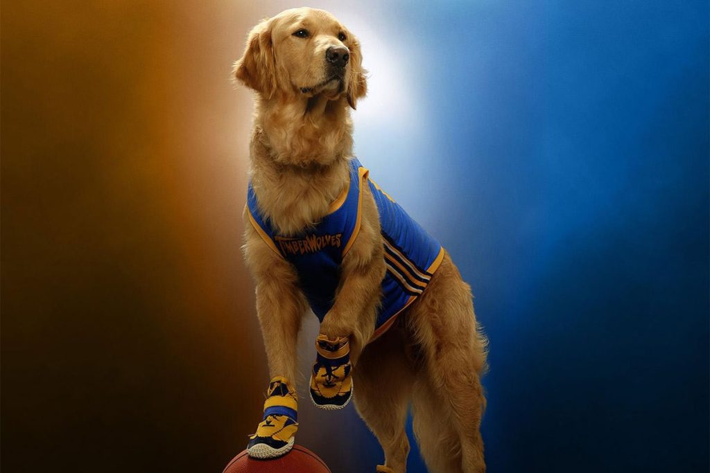 تریلر فیلم Air Bud Returns منتشر شد